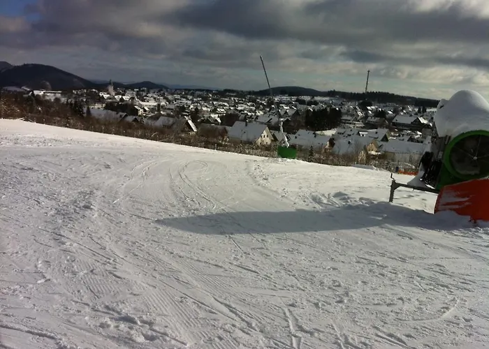 Am Skikarussel 公寓 *