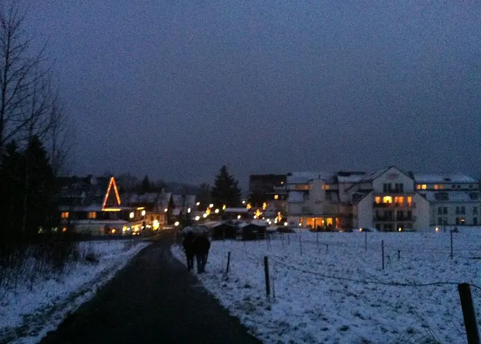 Am Skikarussel * 温特贝格